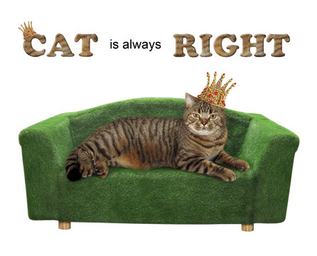 The King In A Golden Crown Is Lying On The Green Couch. Cat Is Always Right. White Background. Isolated.