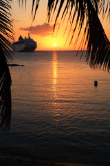 silhouetted cruise ship sailing off into the sunset seen through the frong of a palm tree, orange sun reflecting of sea