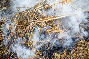 smoke comes from dry grass, fire hazard