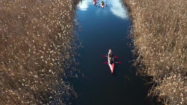 Group of people in kayaks among reeds on the autumn river.