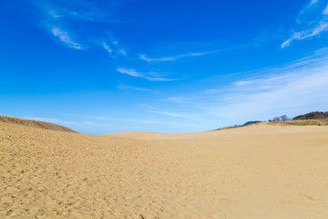Tottori sand dune