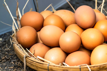 Fresh eggs in a basket on the floor at country chicken farm