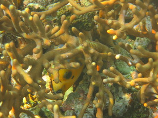 Ecosistema lleno de vida