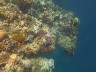 Ecosistema lleno de vida