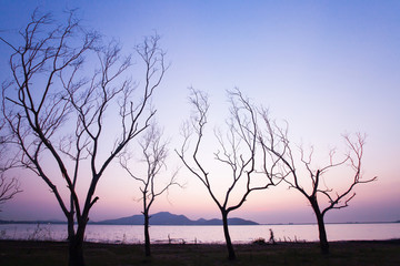 A man walks on the bare trees line near a lake at dusk.