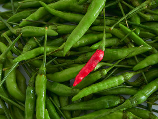 A Red Chili pepper with Green chili peppers