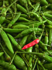 A Red Chili pepper with Green chili peppers