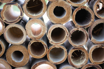 Half cut bamboo Stack together