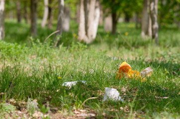 trash in the park
