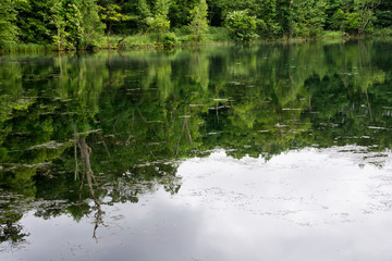 初夏の自然公園　富良野市