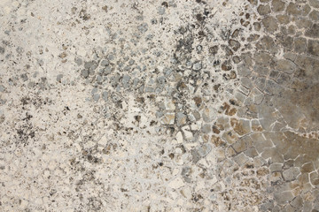 Gray vintage concrete background with cracks