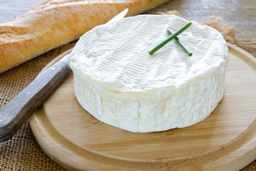 camembert