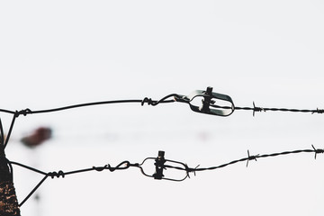 barbed wire against blue sky