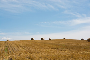 収穫が終わった麦畑と麦稈ロール