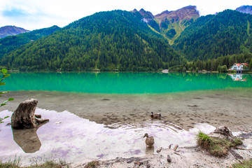 The Antholzer See a lake in South Tyrol, Italy