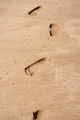 Fototapeta na wymiar Footprints walking on the sand at the beach
