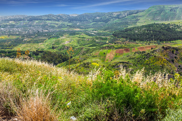 Spring blooming Golan Heights