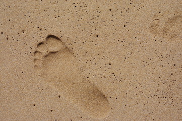 Footprints walking on the sand at the beach
