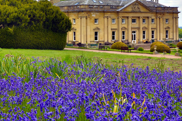 Wortley hall, Barnsley, UK in Springtime with bluebells and rhododendrons