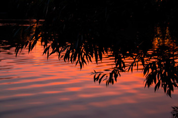 beautiful sunset reflected in the water of the lake