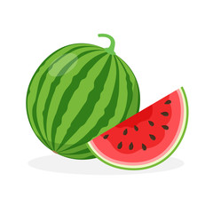 Watermelon and juicy watermelon slice vector illustration in flat design isolated on white background.