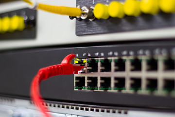 The network cables to connect Lan port