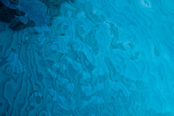 Deep blue ocean water with flock of small fish. Abstract. Art.