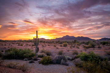 Buetiful Sunset in the Desert, Quartzsite Arizona