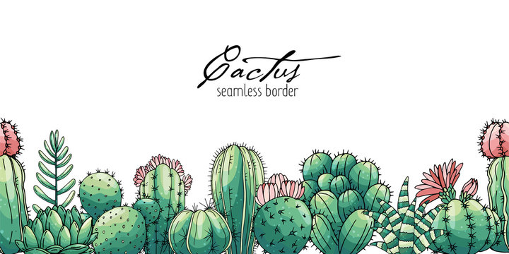 Poster with seamless ornament hand drawn colored lettering, cacti and succulents