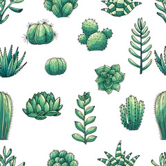 Seamless vector pattern of elements with hand drawn colored cacti and succulents