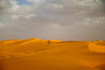 Fototapeta na wymiar Sand dunes and dramatic clouds in the Sahara Desert in MOrocco