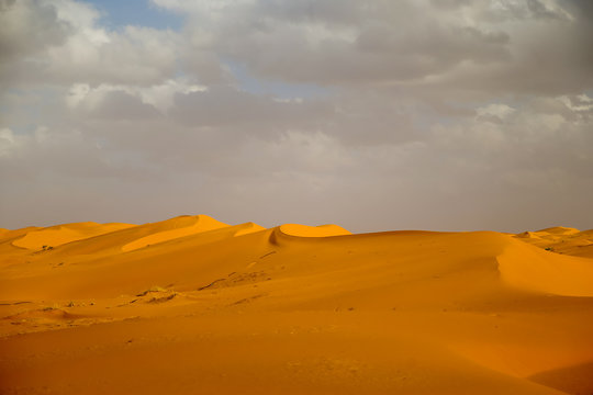 Sand dunes and dramatic clouds in the Sahara Desert in MOrocco © Torval Mork
