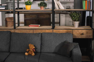 teddy bear on modern grey sofa in living room with sunshine