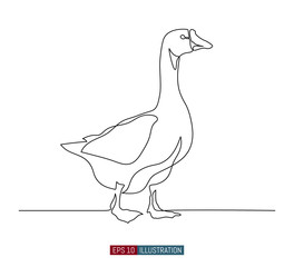 Continuous line drawing of goose. Template for your design works. Vector illustration.