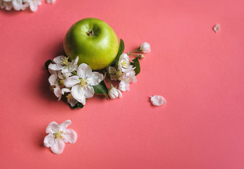 One green apple and a twig of a blossoming apple tree and petals lie on a pink background. White flowers. Copy space, top view.