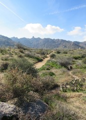 View of an empty trail path in the Sonoran desert leading up to Tom's Thumb near Phoenix, Arizona