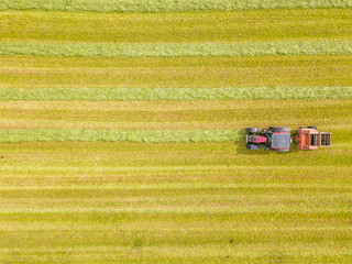 Aerial view of tractor harvesting green hay from meadow.