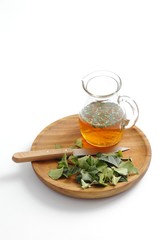 Common ivy infusion