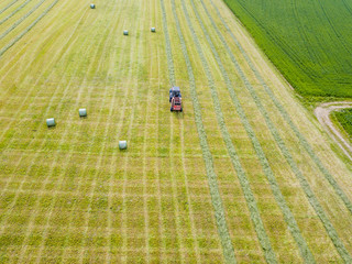 Aerial view of tractor harvesting green hay from meadow.