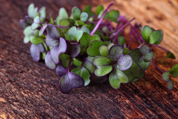 green and healthy microgreens on a wooden board