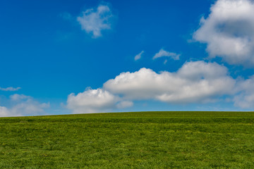 Blauer himmel mit grünem Feld