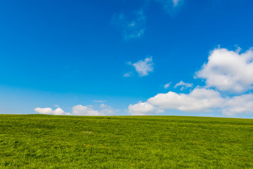 Grünes Feld mit blauem Himmel