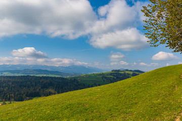 Idyllische Landschaft in den Bergen mit grünem Feld und Berge im Hintergrund