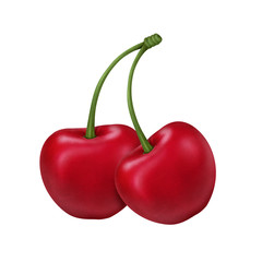 Two Juicy Cherries realistic illustration isolated on white background.
