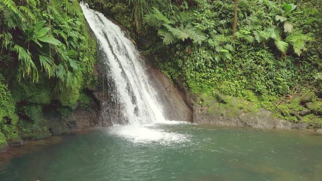 Idyllic waterfall and amazing nature. Wild river in jungle forest. Cascade aux Ecrevisses, Guadeloupe, Caribbean.