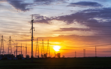 Fototapeta premium electric wires and towers at sunset.
