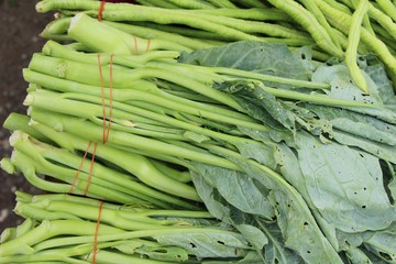 chinese kale for cooking at street food