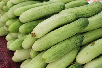 Fresh cucumbers for cooking in the market