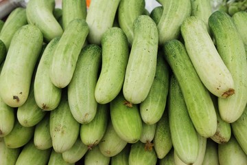 Fresh cucumbers for cooking in the market