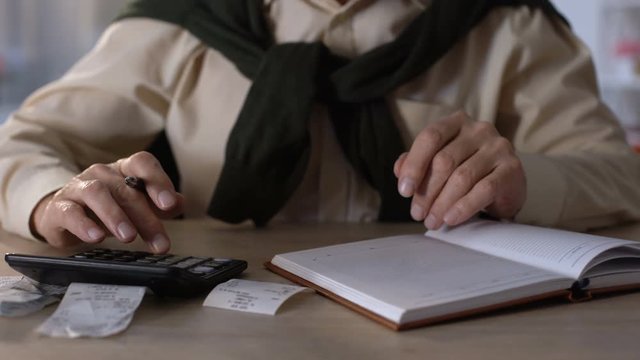 Pensioner looking at checks, calculating expenses for utilities and purchases
